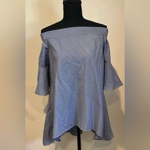 Blue and White Checkered Blouse